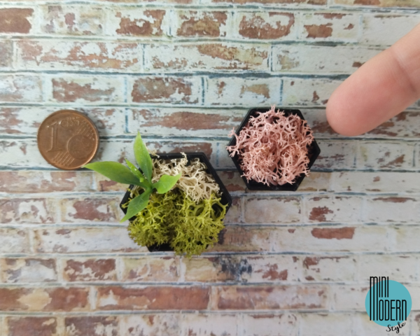 Coppia quadri esagonali neri con giardino verticale