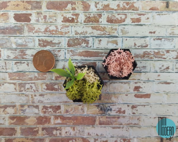 Coppia quadri esagonali neri con giardino verticale - immagine 3