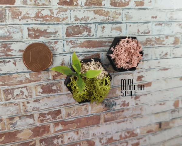 Coppia quadri esagonali neri con giardino verticale - immagine 4