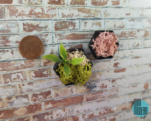 Coppia quadri esagonali neri con giardino verticale - immagine 4